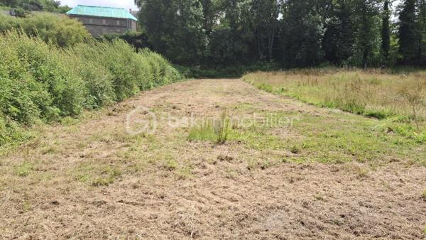 Au cœur du Finistère, dans la commune prisée du JUCH, à proximité de QUIMPER et des axes routiers, venez découvrir ce terrain constructible idéal pour votre futur projet immobilier dans un environnement calme et paisible.
Le terrain est issu de la division d'une parcelle de 2160 m², divisée en trois lots. Le terrain est exposé plein sud.
Le terrain est viabilisé.

N'hésitez pas à me contacter pour plus d'informations.