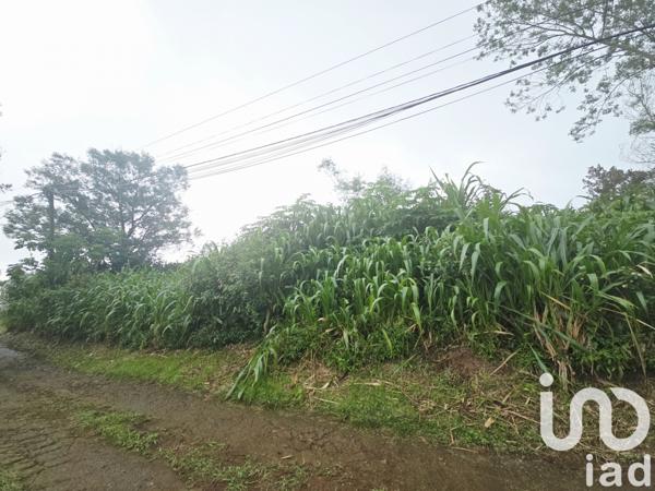 Terrain à vendre 462 m² Saint-Paul