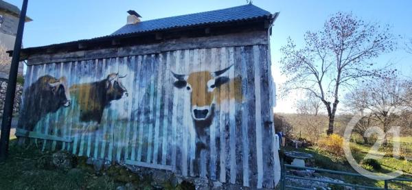 Maison à vendre  3 pièces - 50,25 m2 LACAPELLE BARRES - 15