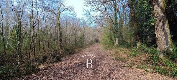 Salbris, Domaine de chasse 4 Chambres -  300 m² à vendre