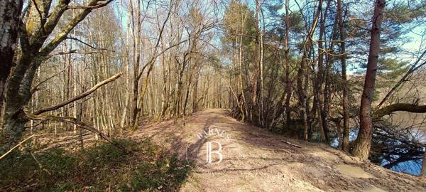 Salbris, Domaine de chasse 4 Chambres -  300 m² à vendre