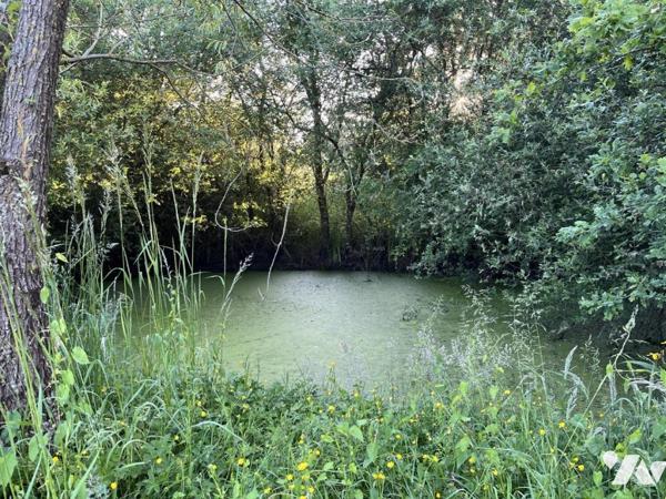 LONGERE A LA CAMPAGNE
