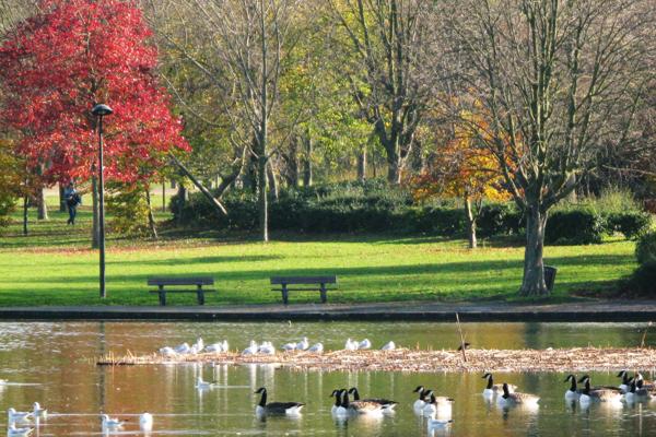 Nanterre (92000) Nanterre Préfecture Parc André Malraux appartement de 4 pièces + balcon + parking souterrain 456 750 €