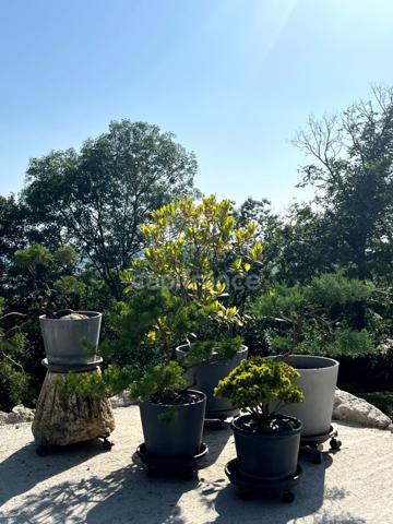 Elégante maison en pierre entièrement restaurée, 4 pièces, au coeur d'un village médiéval (32)