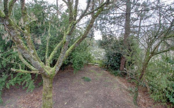 Maison à vendre    7 pièces •  Saran