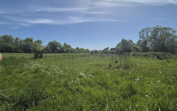 Terrain à vendre