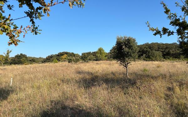 Terrain à vendre    Lédenon