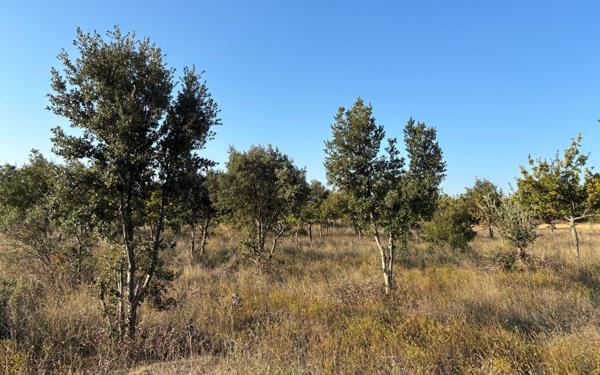 Terrain à vendre    Lédenon