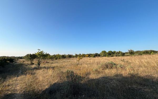 Terrain à vendre    Lédenon