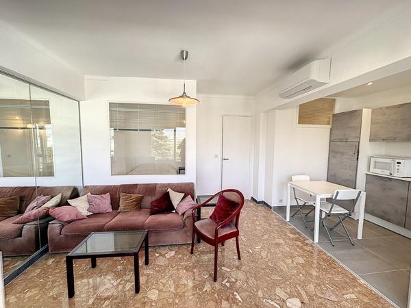 Très grand studio meublé avec terrasse