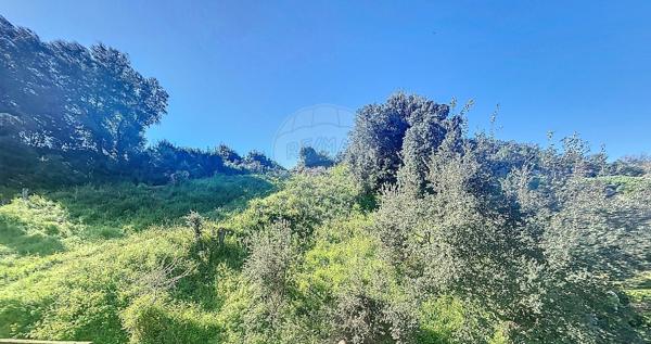 Appartement  en vente - Corse - 20