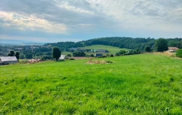 Vente Terrain Saint-flour   