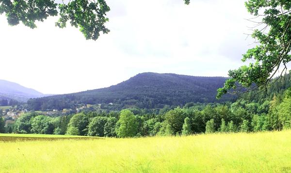 Immeuble à SAULXURES, 67420 - 1200m²
