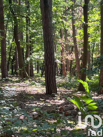 Terrain à vendre 8 035 m² Charbuy