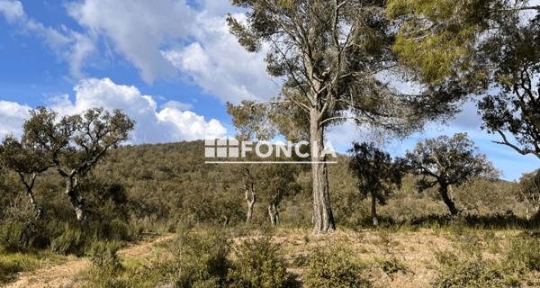 À vendre Terrain 3744 m² - La Londe-les-maures 83250