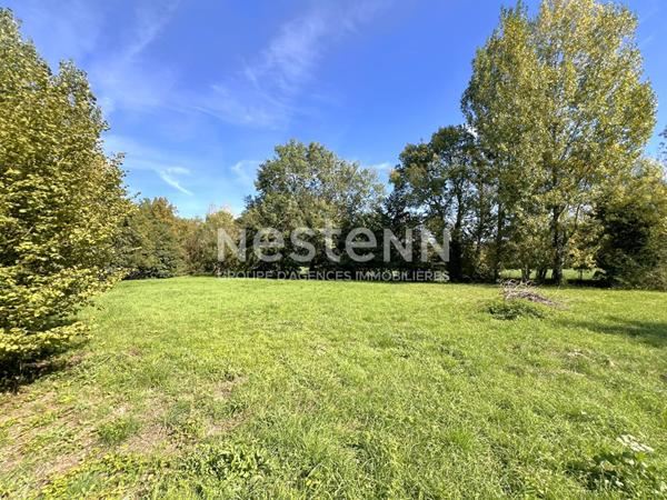 BIEN RARE ! MOULIN DE CARCTERE AVEC SA ROUE ET SON BIEF À VENDRE PROCHE CHABRIS (INDRE 36)