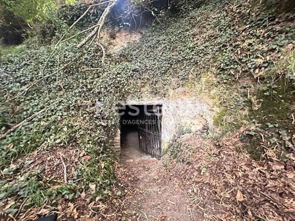 Vente cave voûtée à Beaumont Pied de Boeuf  (72500)