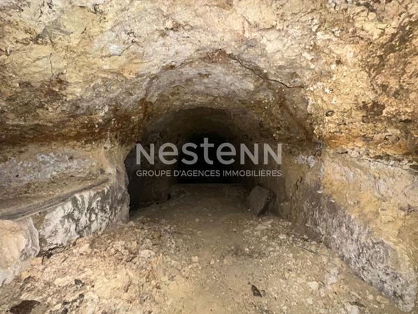 Vente cave voûtée à Beaumont Pied de Boeuf  (72500)