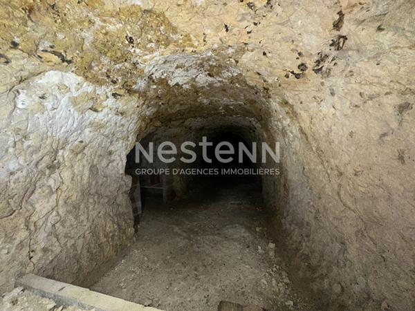 Vente cave voûtée à Beaumont Pied de Boeuf  (72500)
