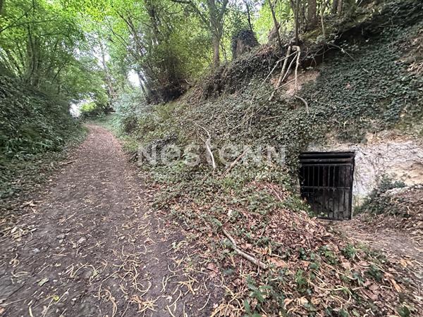 Vente cave voûtée à Beaumont Pied de Boeuf  (72500)