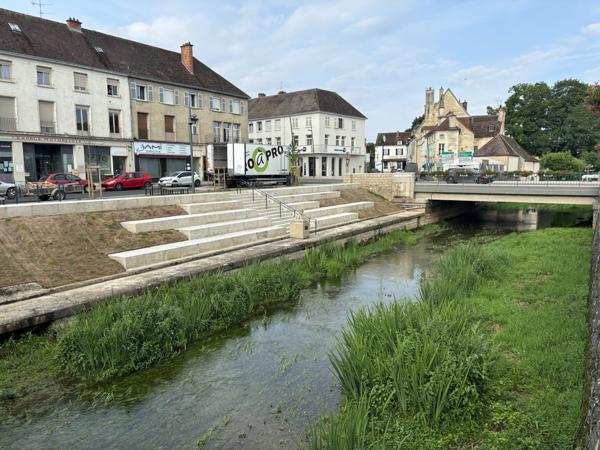 Belle demeure de 200m² au centre ville de Châtillon-sur-Seine sur 650m² de terrain avec atelier . Châtillon-sur-Seine (21400)