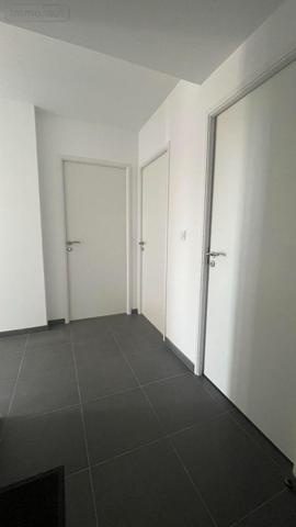 Appartement neuf à louer à Malo-les-Bains dans le Nord (59240), ref : D4853