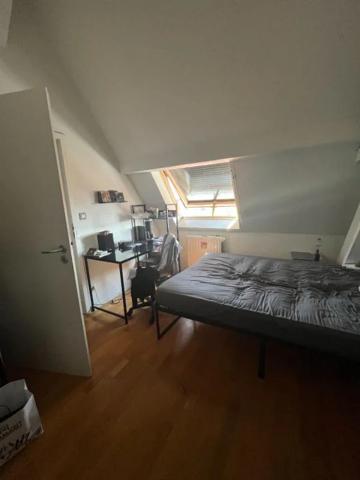Appartement à louer à Erstein (67150)