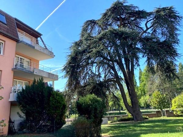 Vente / Appartement T4