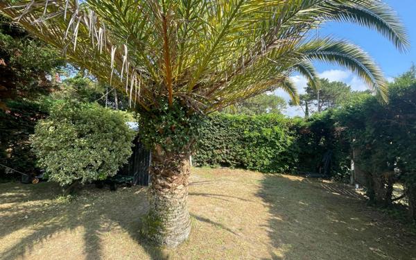 Appartement à vendre    2 pièces • 49,16 m2 Capbreton