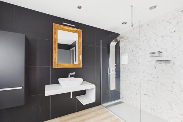 Ensemble immobilier Loft exception et grand garage