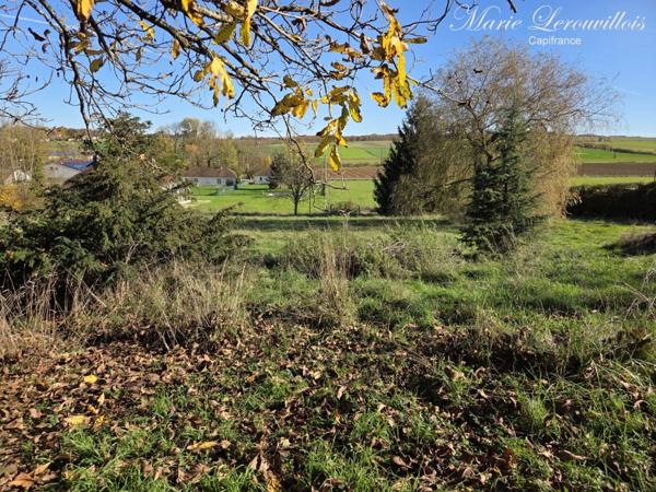 Terrain à vendre CHAOURCE (10)