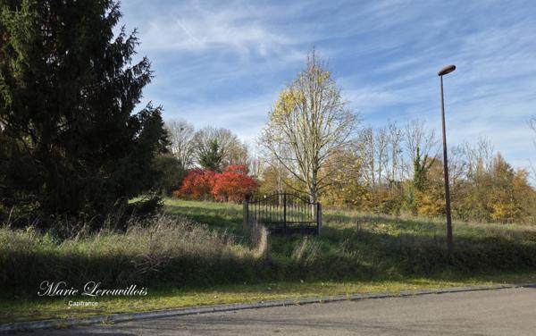 Terrain à vendre CHAOURCE (10)