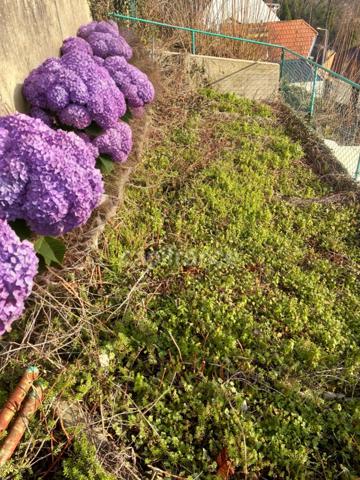 *En exclusivité* Bas de Tourneville*Maison de 72 m², 2 chambres, terrasses et jardin, exposé plein sud