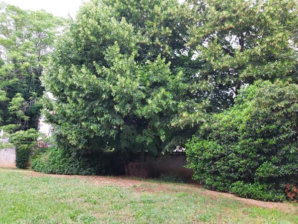 Appartement lumineux