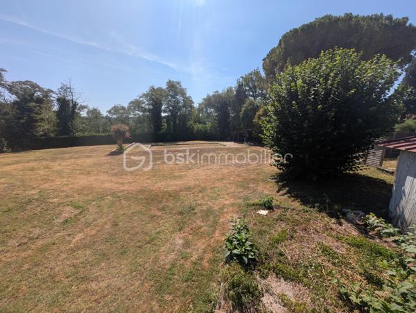 Terrain de 1 291 m²