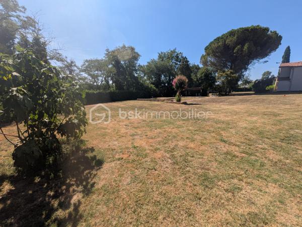 Terrain de 1 291 m²