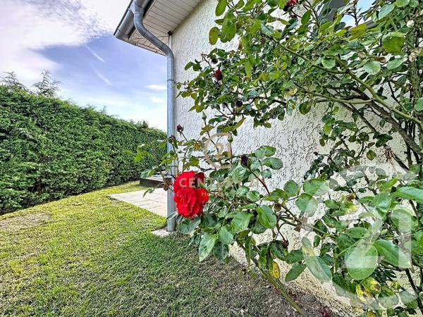 Maison à vendre  4 pièces - 97 m 2   RIVE DE GIER  - 42