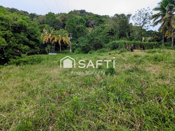 Terrain plat avec vue dégagée