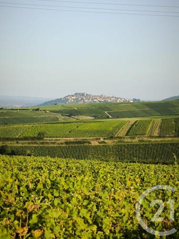 Maison à vendre  9 pièces - 182 m2 SURY EN VAUX - 18