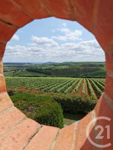 Maison à vendre  9 pièces - 182 m2 SURY EN VAUX - 18