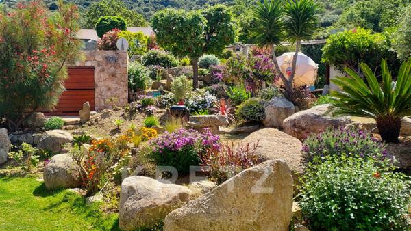 Corbara – Villa contemporaine avec vue mer exceptionnelle