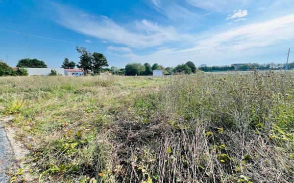Terrain à vendre    Royan