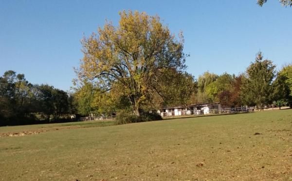 propriété EQUESTRE Vonnas 13 hectares