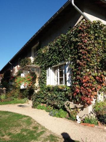 propriété EQUESTRE Vonnas 13 hectares
