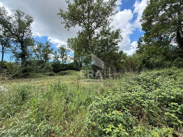 Terrain Les Pennes Mirabeau 1000 m2