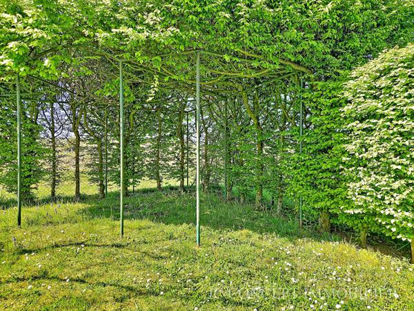Maison 119 m² sur 780 m² au calme avec vue 249 000 € H.A.I.*