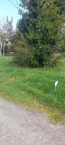 Vente Terrain 737 m2 à Bouliac