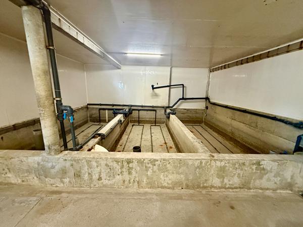 Entrepôt / local industriel Cancale 450m2 sur 1262 m2 de terrain