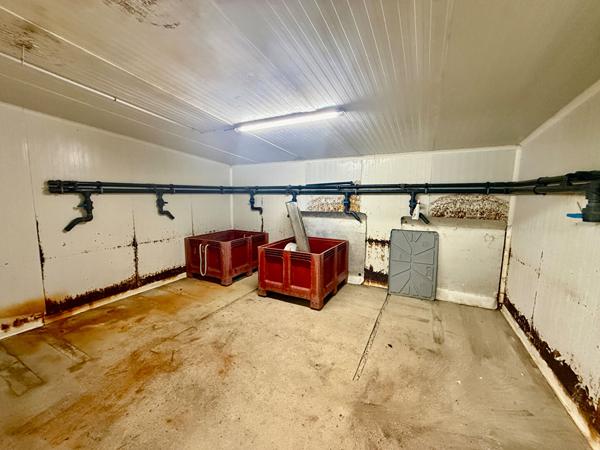 Entrepôt / local industriel Cancale 450m2 sur 1262 m2 de terrain