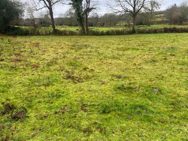 Terrain à bâtir d'une surface de 2650 m2 avec possibilité de division.